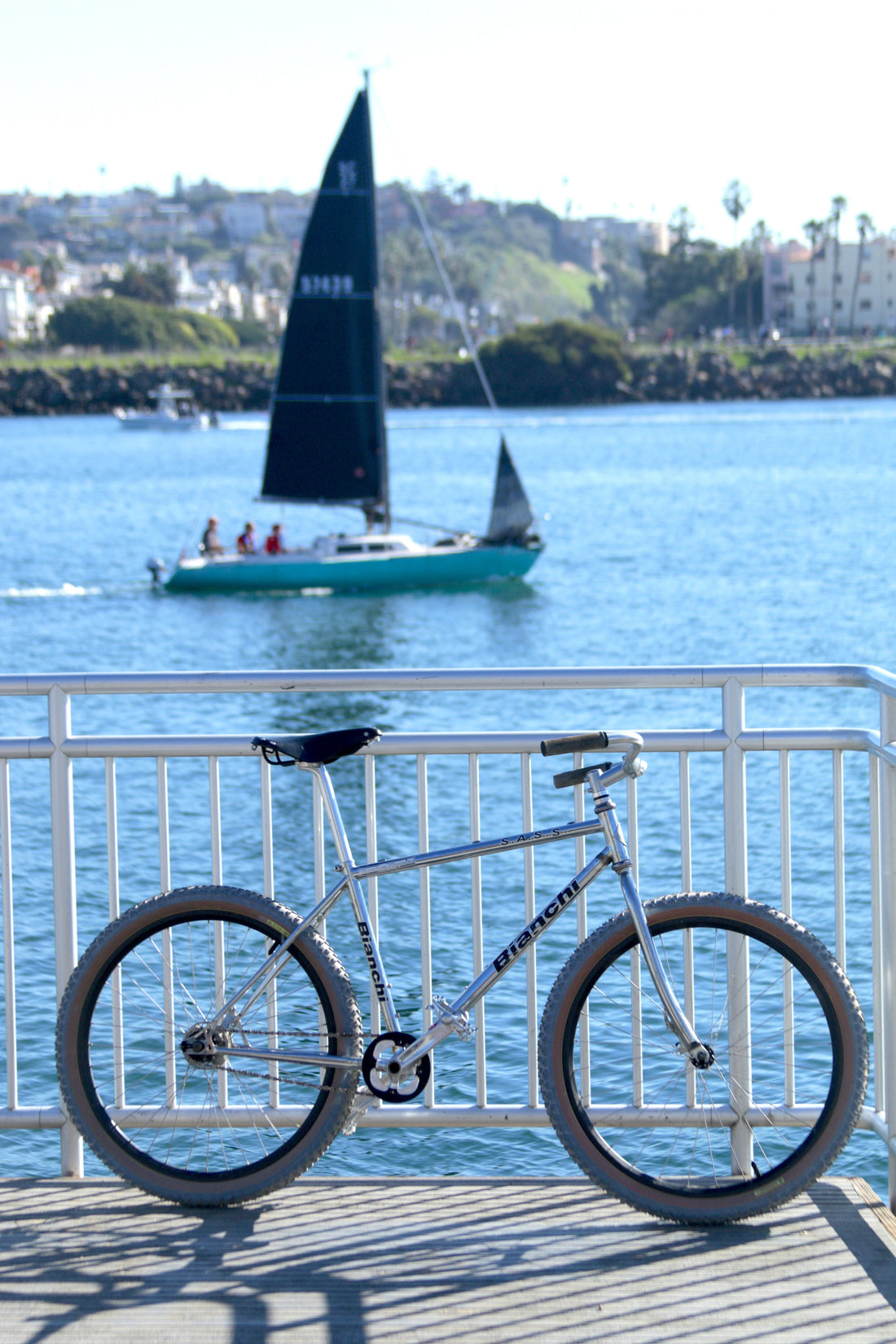 Bianchi SASS Coaster Brake - The Village Bicycle