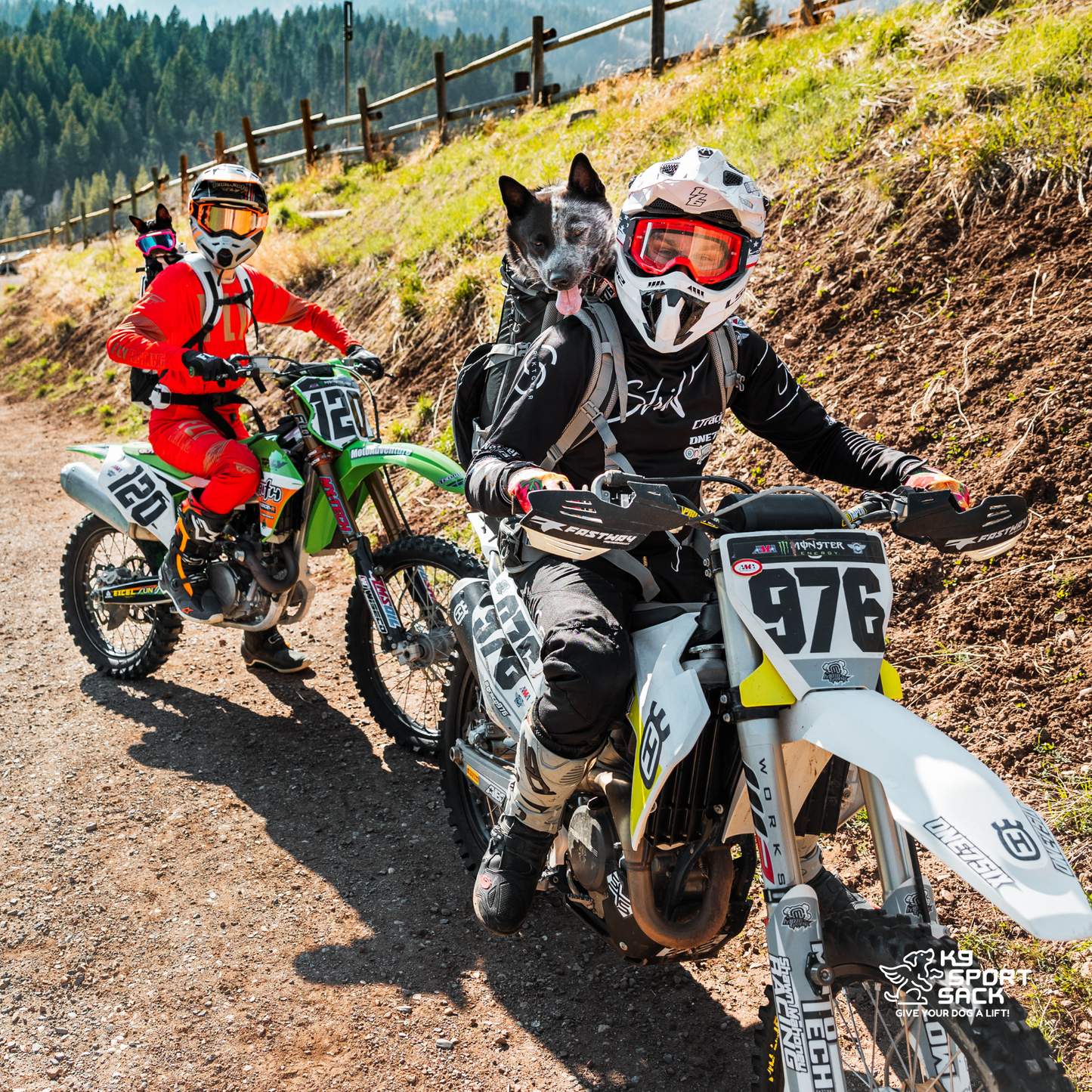 Kolossus | Big Dog Carrier & Backpacking Pack